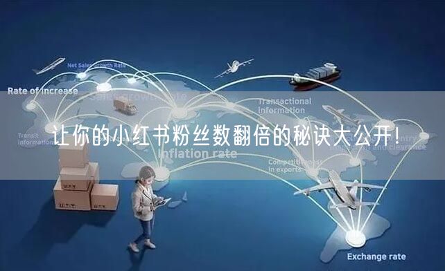让你的小红书粉丝数翻倍的秘诀大公开！