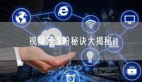视频号涨粉秘诀大揭秘!