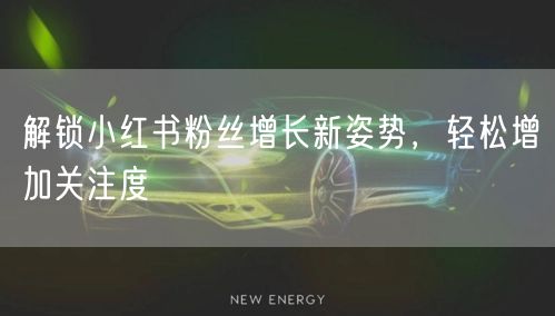 解锁小红书粉丝增长新姿势,轻松增加关注度