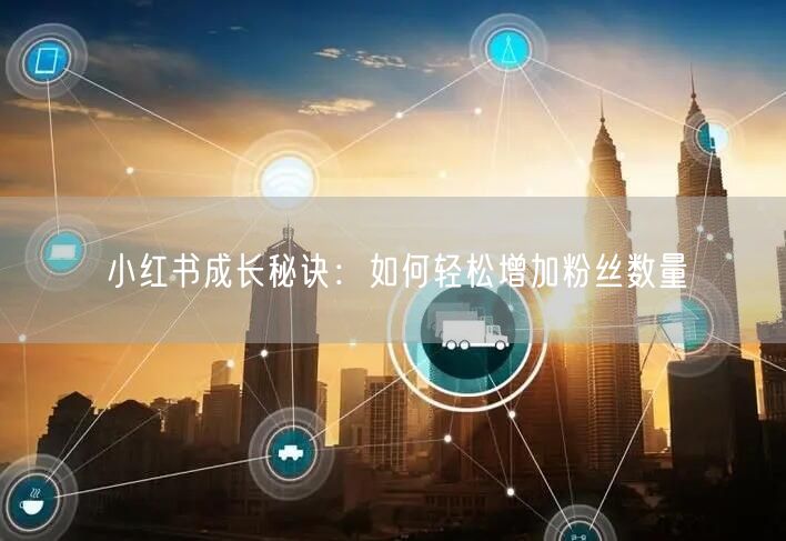 小红书成长秘诀:如何轻松增加粉丝数量