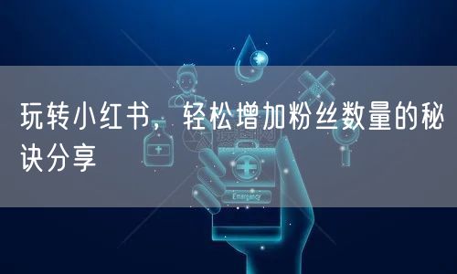 玩转小红书,轻松增加粉丝数量的秘诀分享