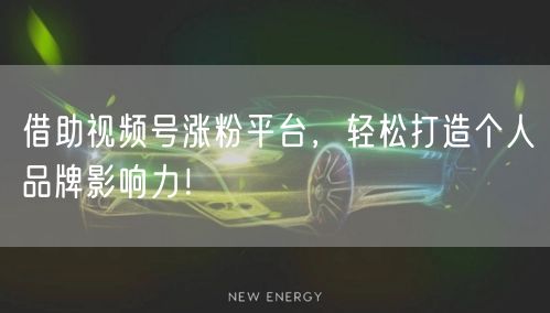 借助视频号涨粉平台，轻松打造个人品牌影响力！